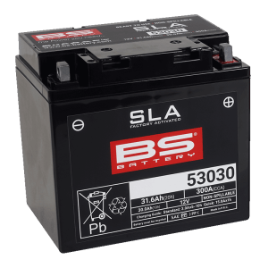 SLA_53030_300880_Bat_R_LD